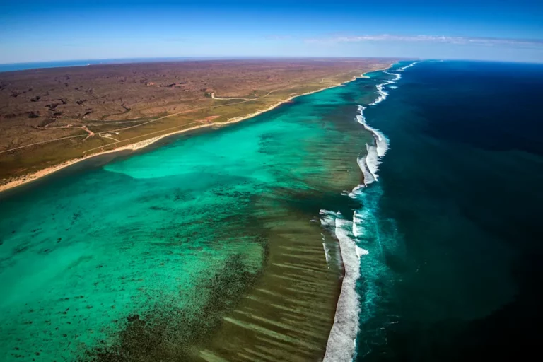 4e6aaa30-8000-11ea-9aaf-8552af12c220