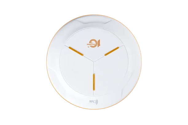 N2 Palm vue de face